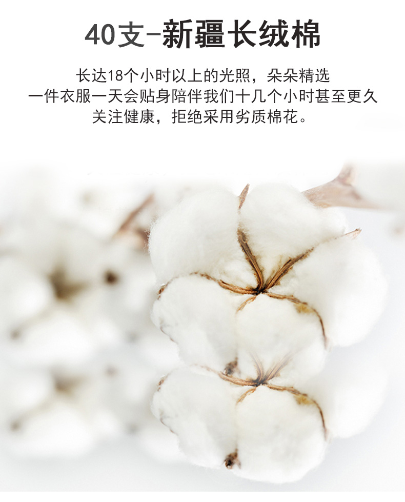 210g40支新疆长绒棉双珠纯色二级领下摆开叉CF556(图4) 13405846687522245.jpeg