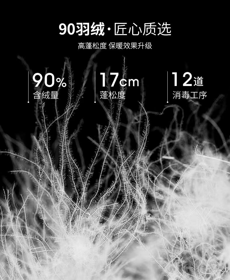 13401038073898643.jpeg