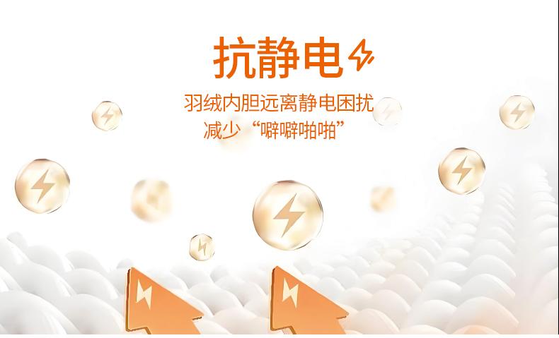 详情 (12).jpeg